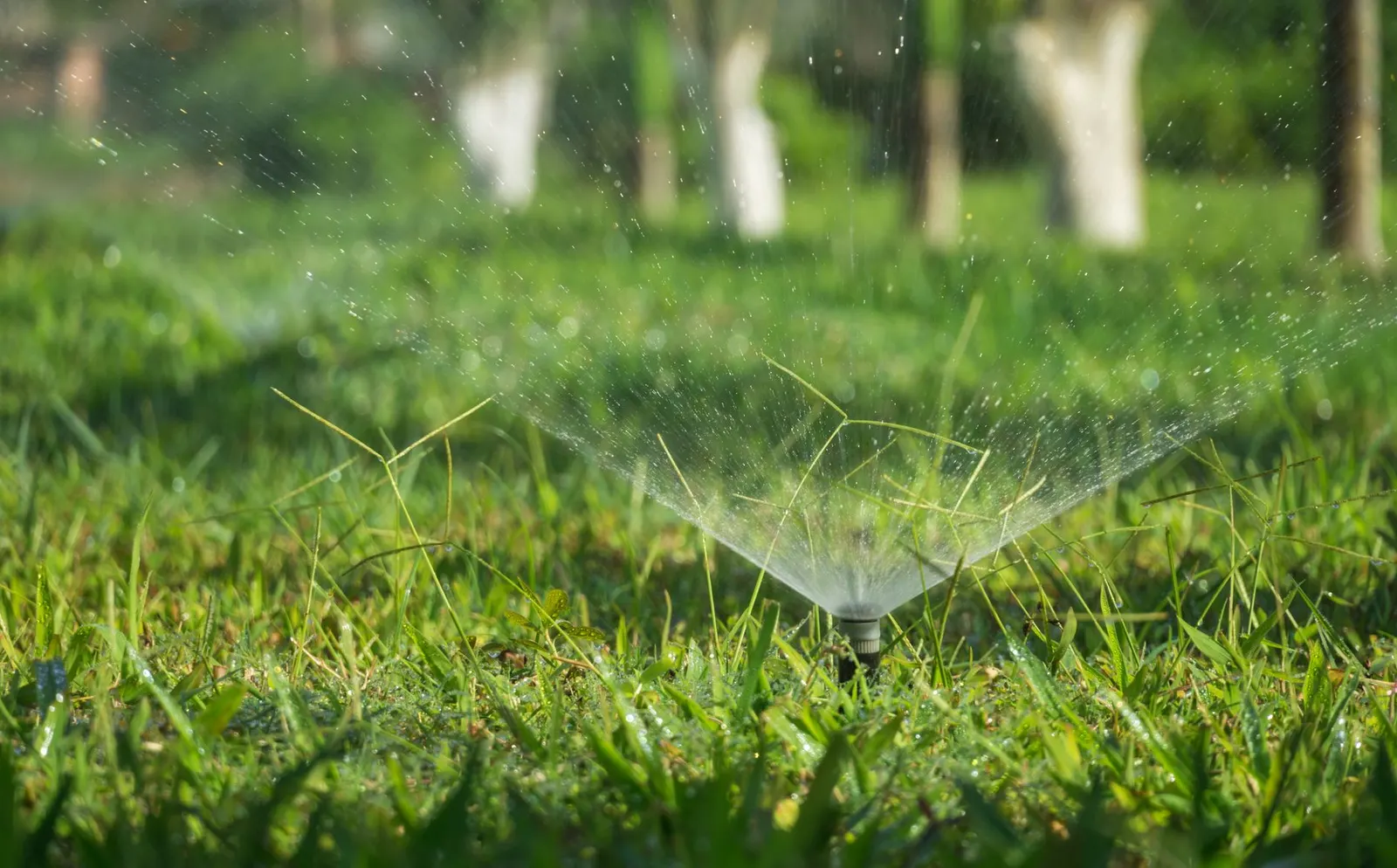 Sprinkler installation in Las Vegas, NV